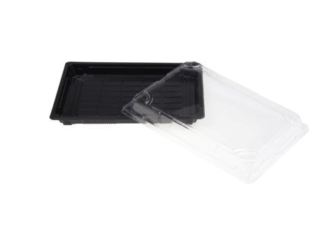 Sushi Tray Set XJ HP-11 250x170mm(Foodasia)