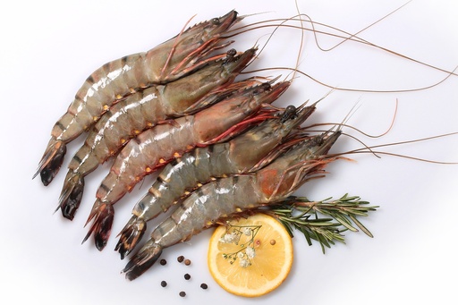 Gambas 16/20 (Black Tiger), 10*800gm / CTN